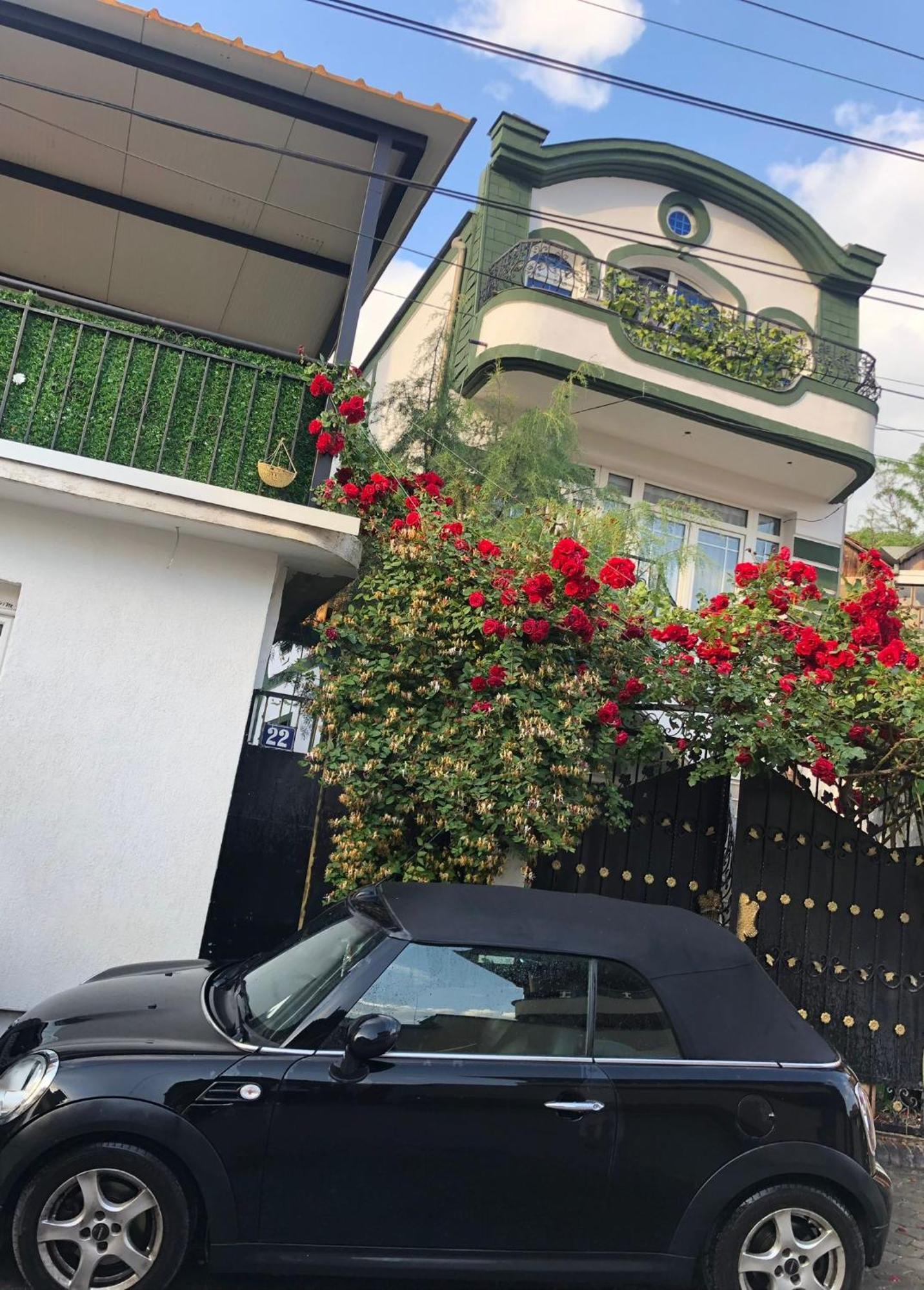 Adem'S Cozy Terrace Retreat Bed & Breakfast Skopje Exterior photo